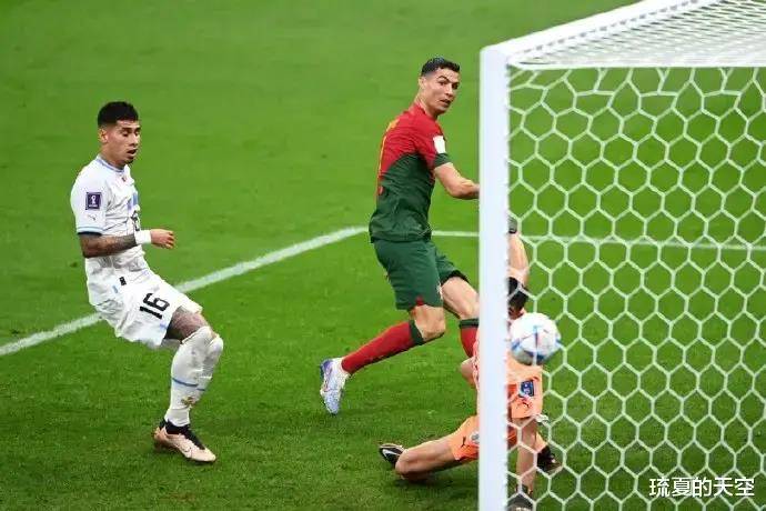 塞内加尔碾压法国，德利赫特高光表现的简单介绍