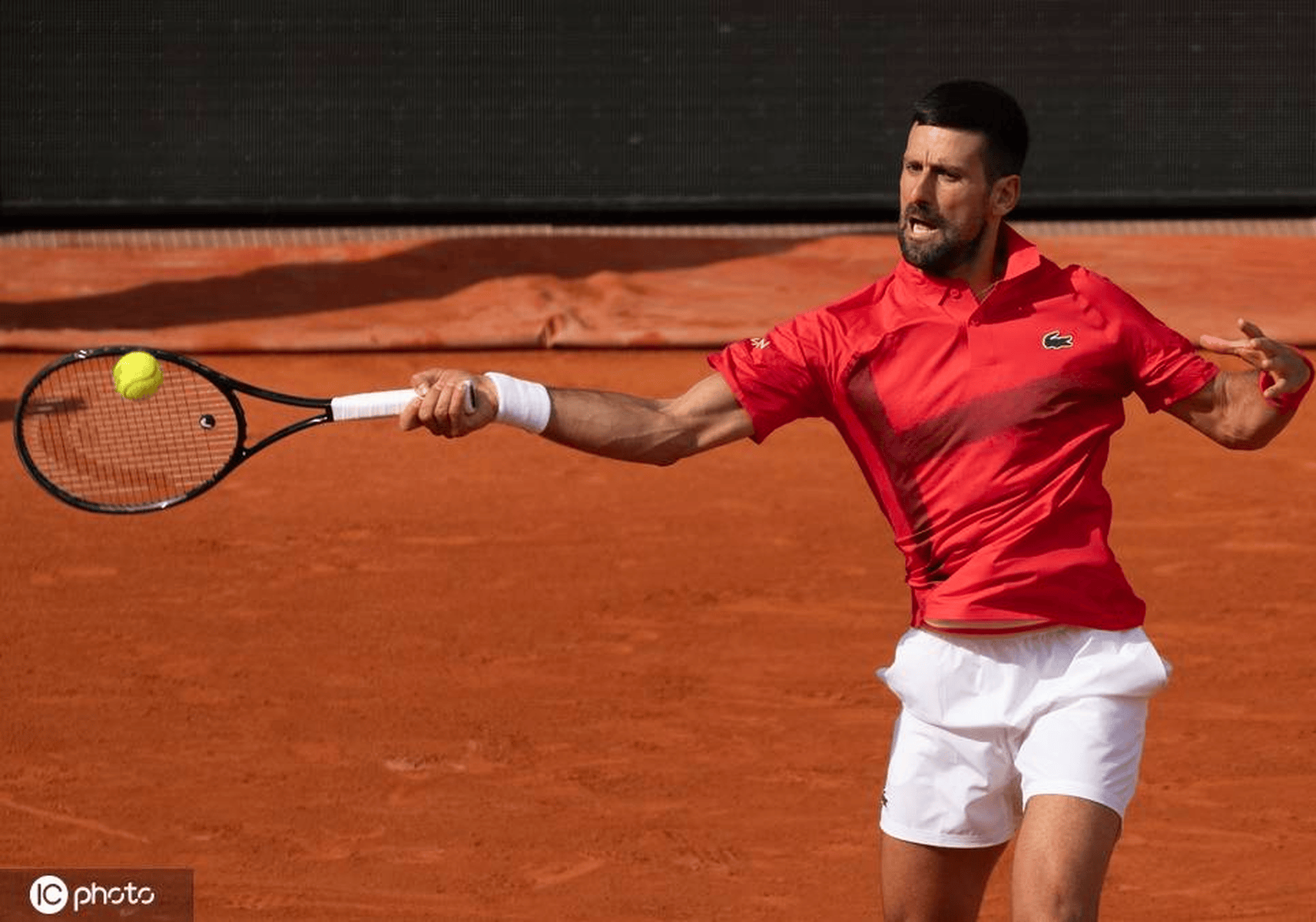 澳网绝杀法网，德约科维奇扛起全队