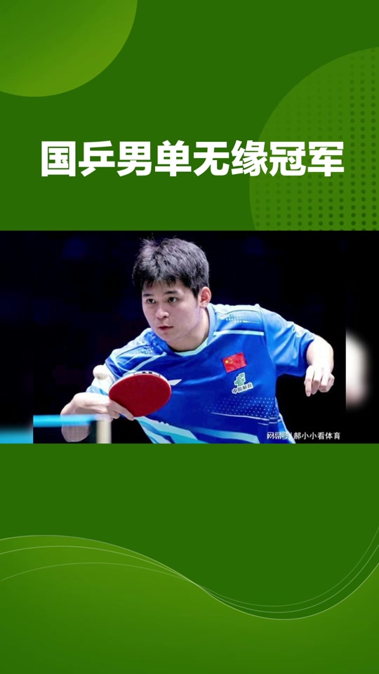 开云官网-日本队轻取瑞典队，许昕扛起全队