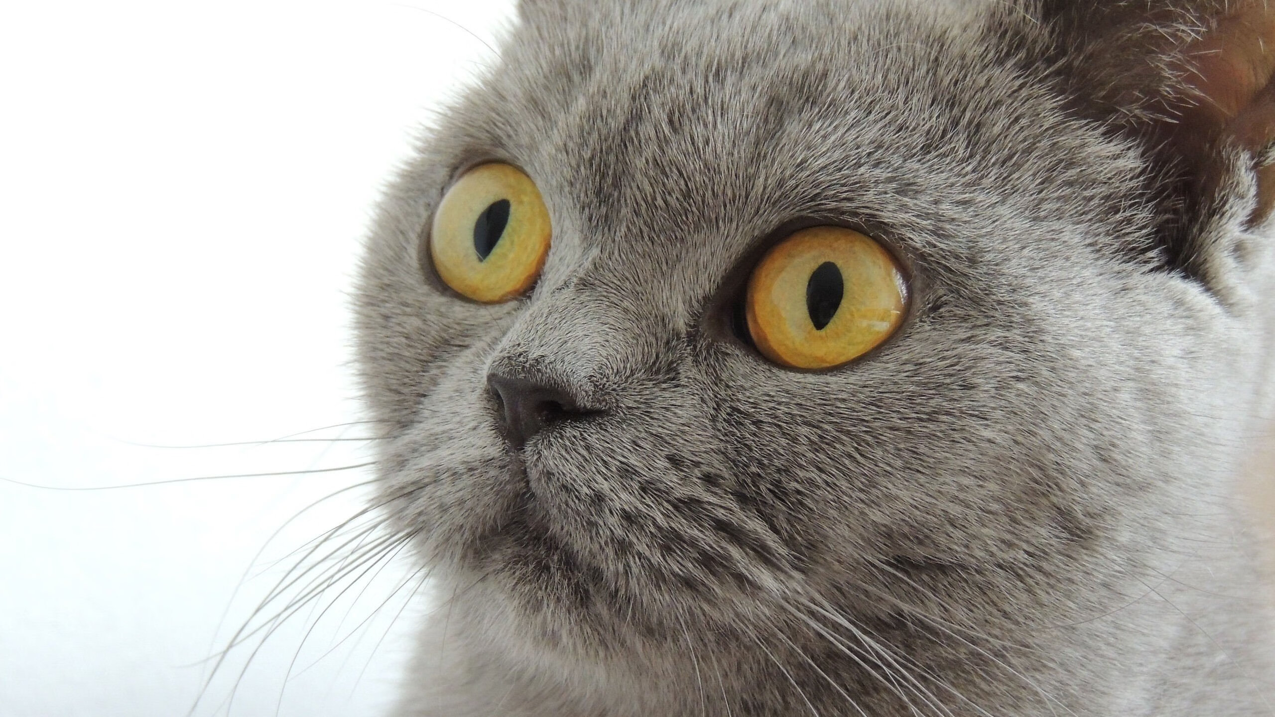 向豪门索要自我的入场券，李刚仁的救赎与皇马的险胜