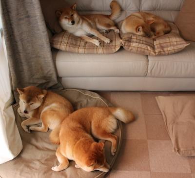 NBA总决赛之夜，哈登无奈见证，足球巨星哈弗茨竟成全场焦点