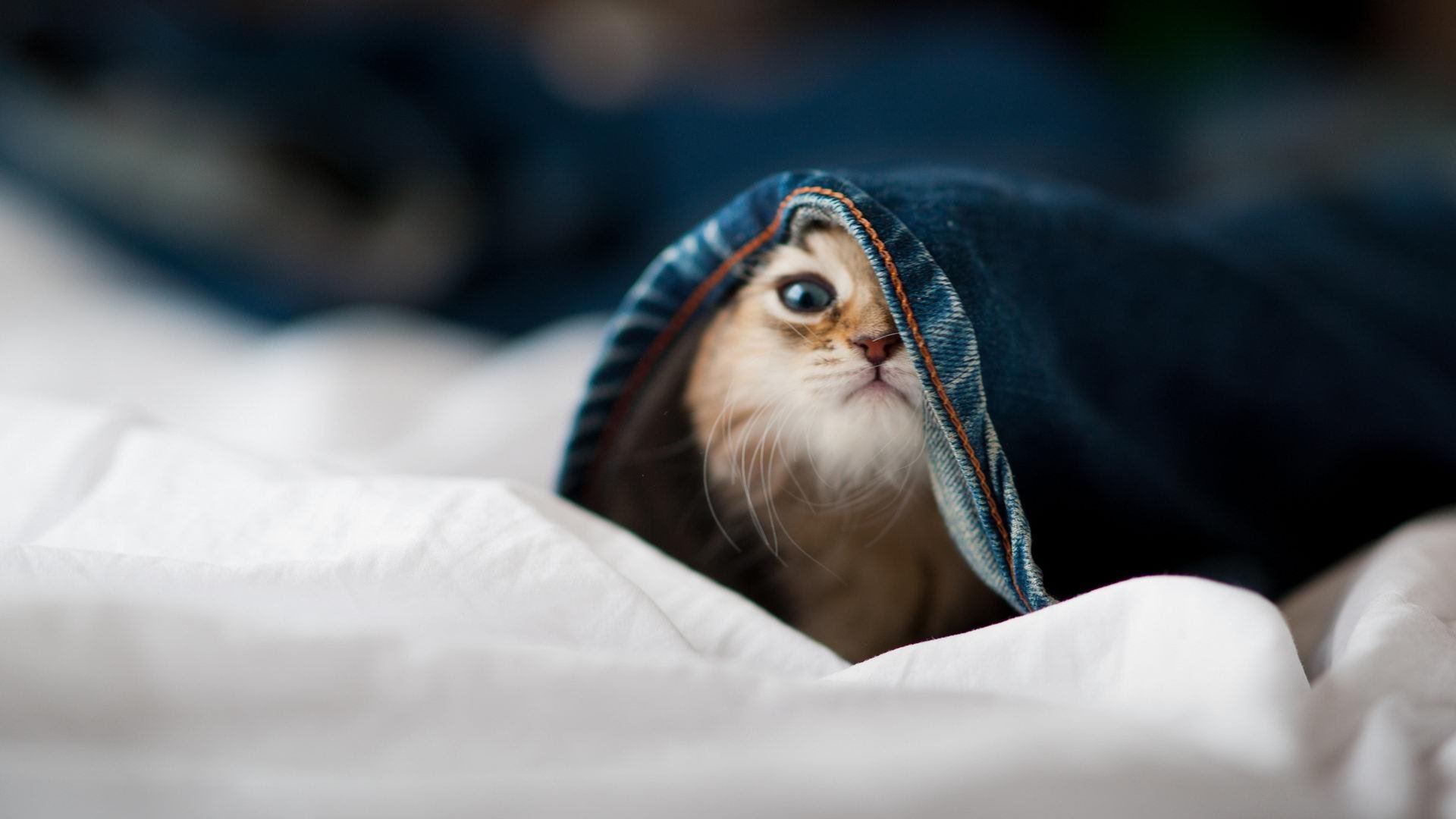 双战场,当湖人血战天山,乔治正为世界排名刺出封喉一剑