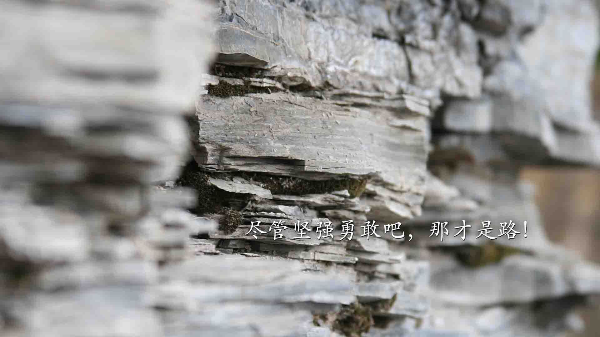 F1新赛季揭幕战之夜，巴尔韦德如何诠释硬仗之王？