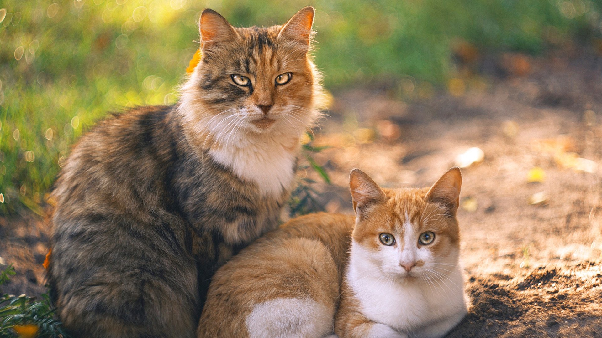 当C罗的利刃刺穿蓝黑信仰，伯纳乌一夜，悬念在75分钟前燃尽