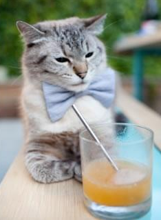 双城记，当辽宁队带走胜利，约基奇在丹佛书写关键先生的跨洋呼应