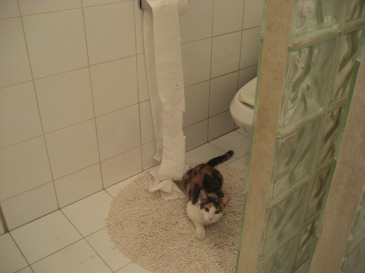 灰熊第三节风暴席卷老鹰,克莱硬仗之王归来正名