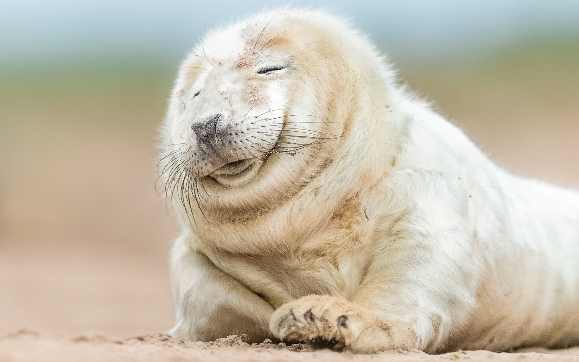 马克西的进化论,从费城未来到纽约主宰,赛后评分拉满背后是彻底的蜕变