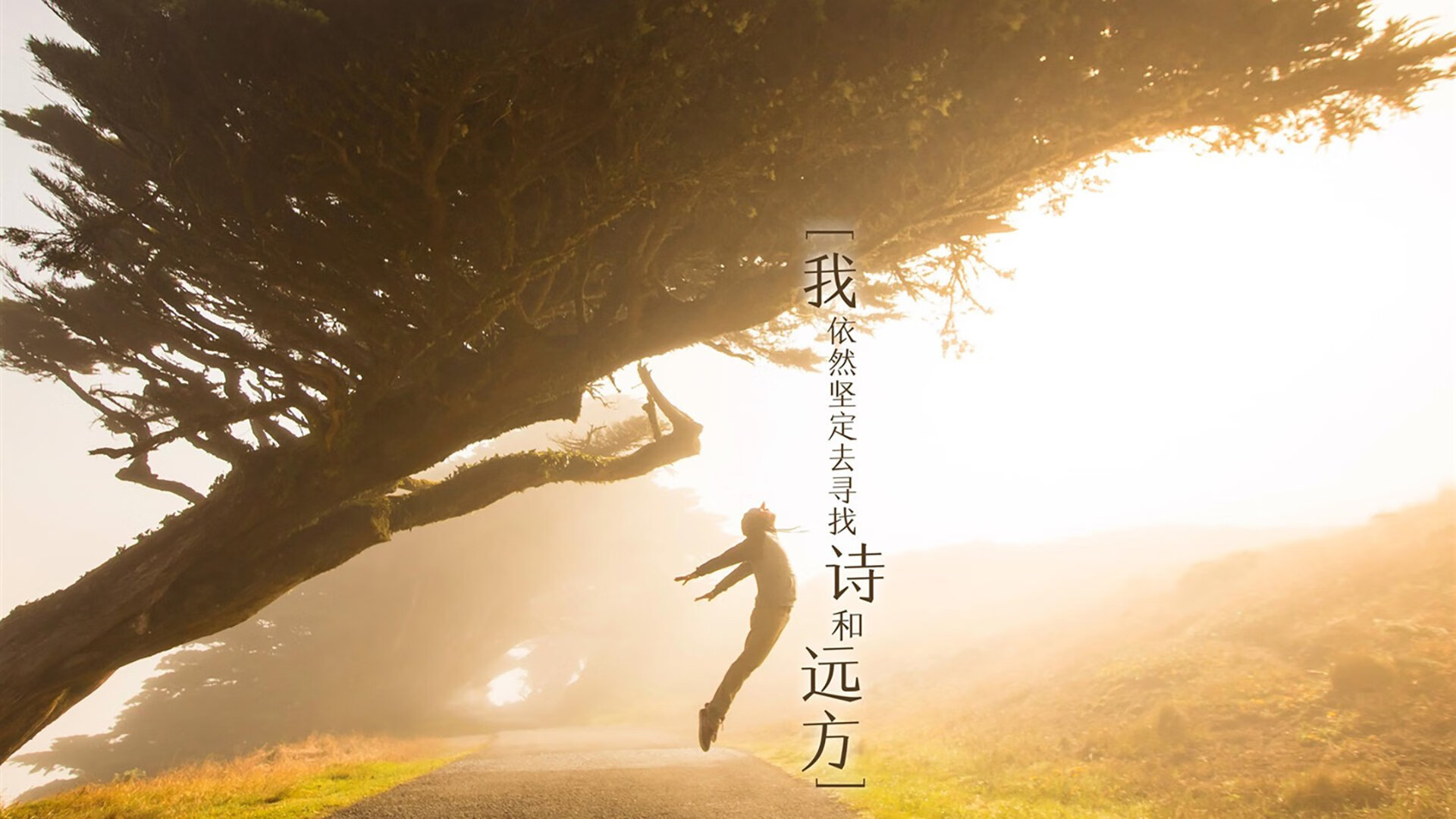 神射封喉！奇才爆冷晋级，布克化身关键先生淘汰掘金