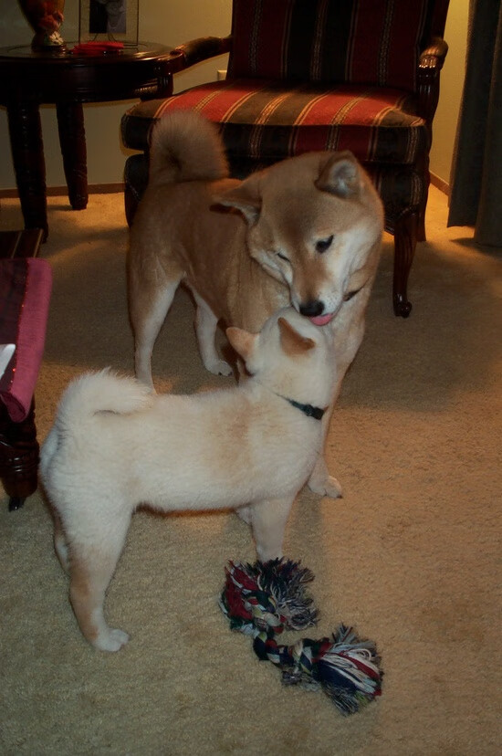 开云体育app-狂飙45+9！杰伦格林掀翻新疆，浙江主场悬念终结