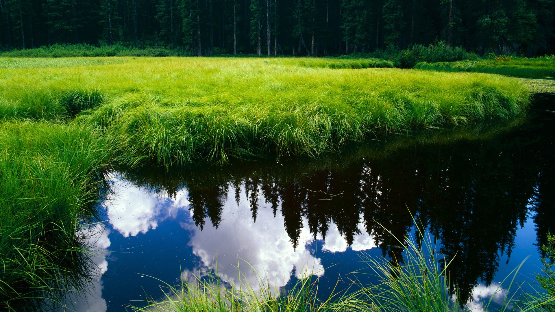 开云下载-无声的绞杀，西决生死战之夜，哈兰德在防守端的统治