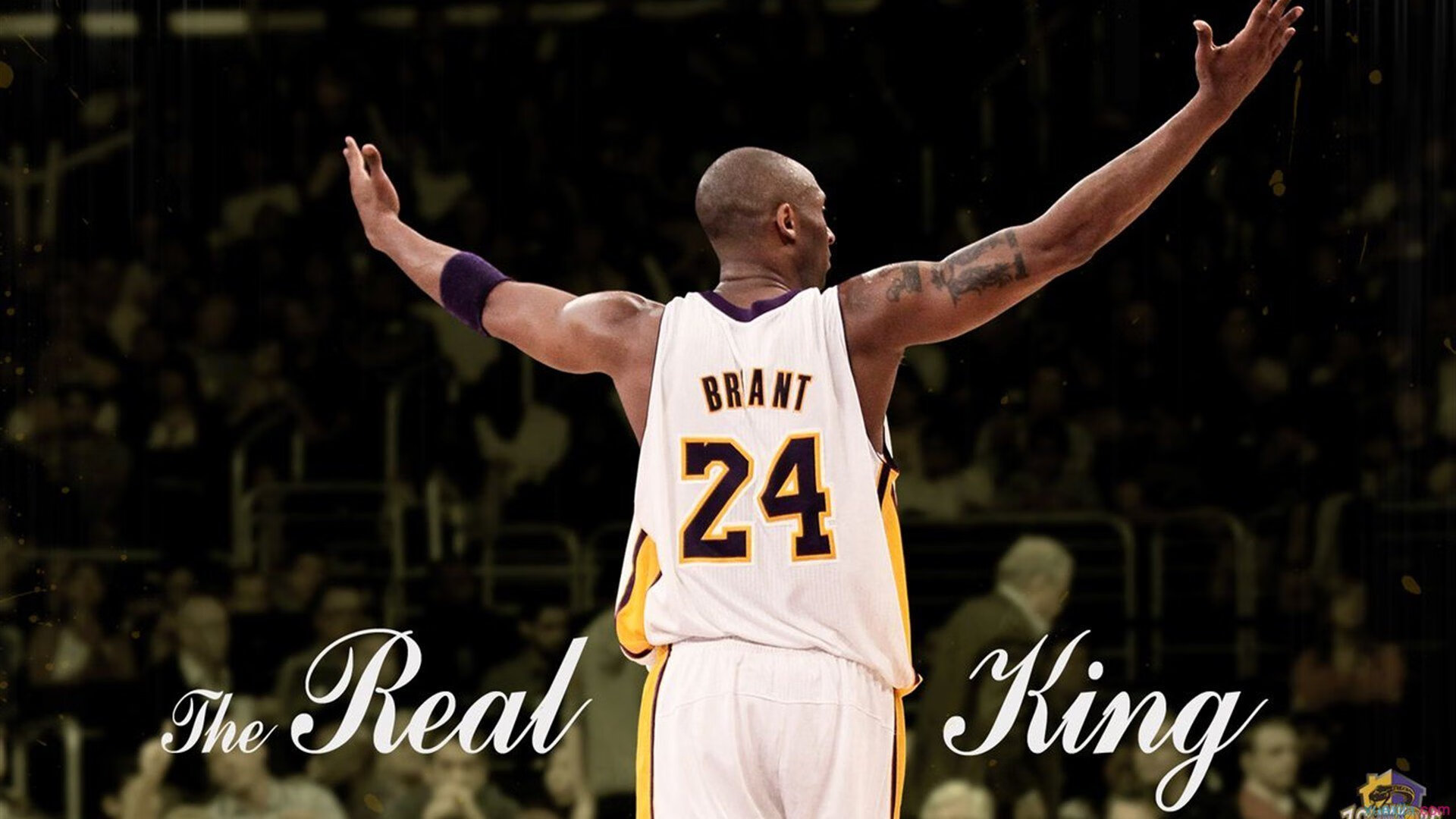 开云体育-当大舞台遇见大心脏，武切维奇的美加墨世界杯宣言