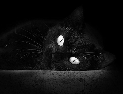 篮筐两侧的狂澜，当杰伦格林点燃火箭，新疆铁骑碾过天山顶