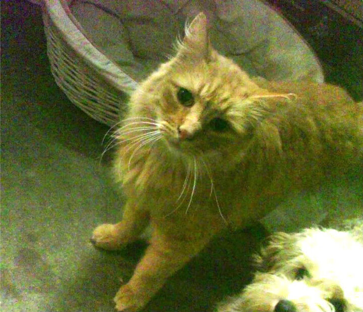 欧冠上的北非烈焰，当阿什拉夫用皇马DNA为英格兰球队书写墓志铭