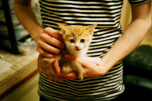 开云体育平台APP-新星闪耀与末节风云，文班亚马的爆发与骑士的逆转艺术