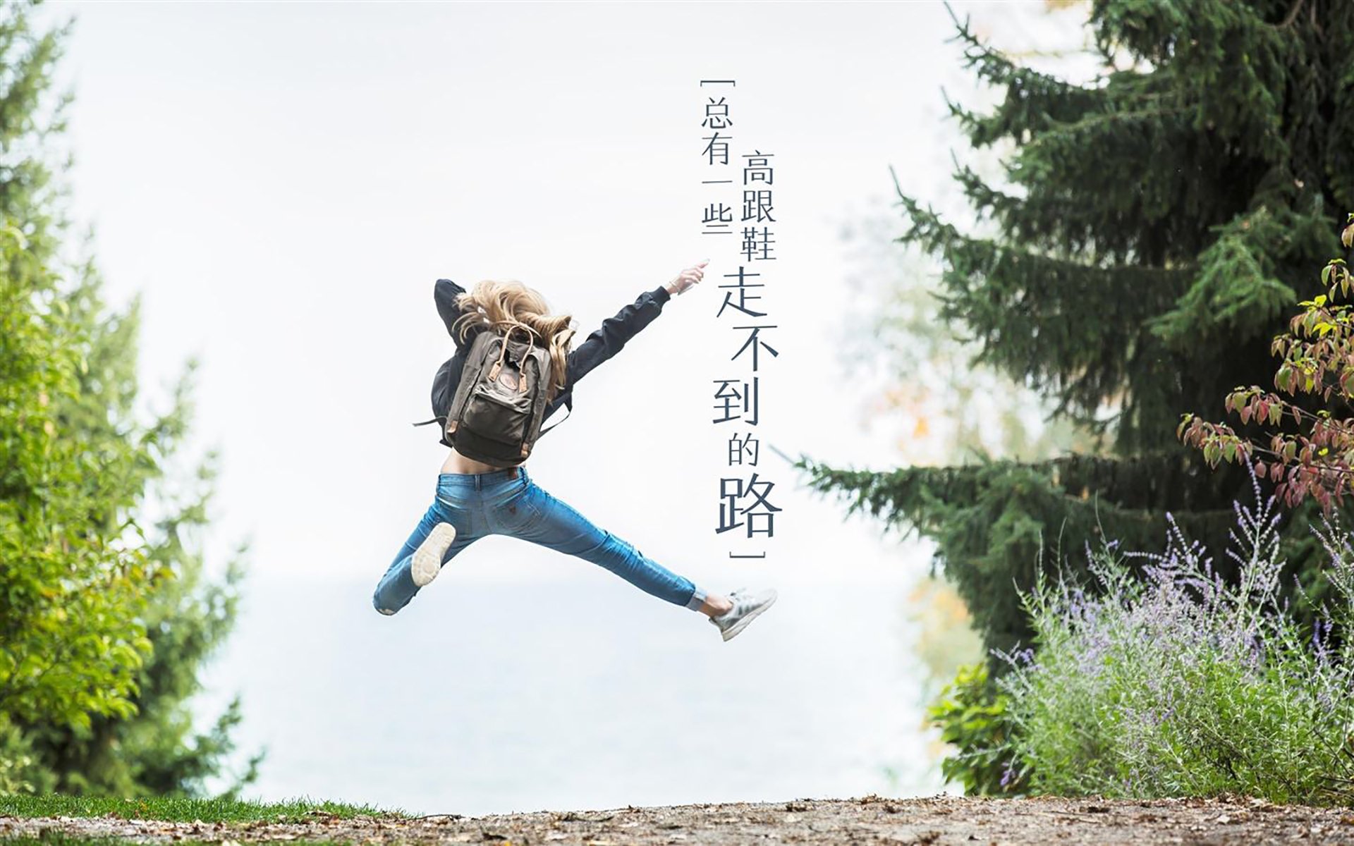 开云体育中国-铁闸与利刃，福克斯的争冠夜独舞