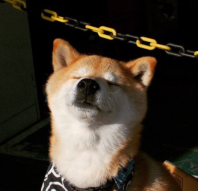 开云体育APP下载-五棵松见证，当北京篮球的倔强点燃了锡安的火焰