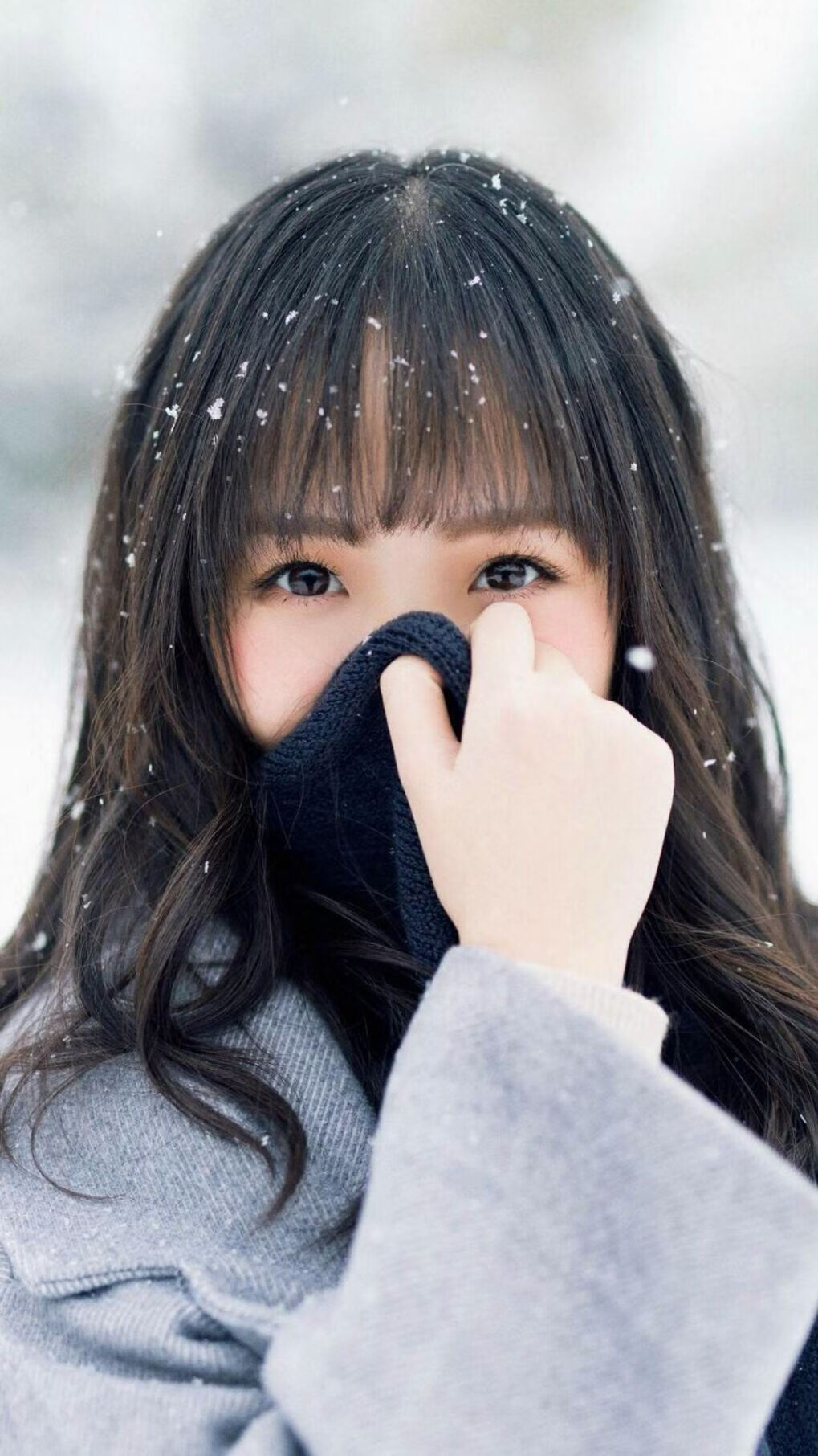 热血与荣光，2026世界杯C组伊朗大胜芬兰，莱万致命一击引爆热潮
