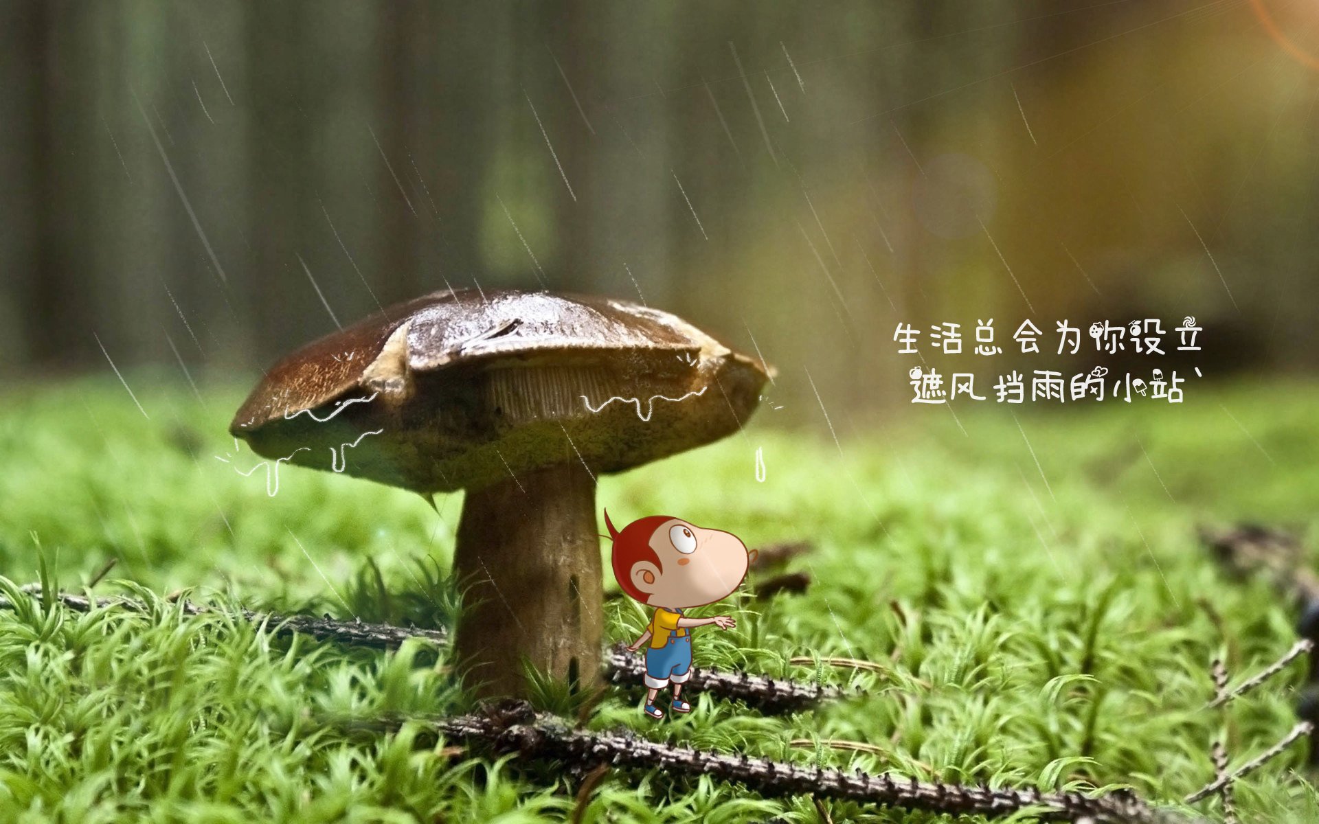 沙漠风暴席卷欧洲，2026世界杯半决赛，沙特力克瑞士，努涅斯闪耀全场